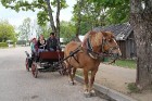 Leedu - Anykščių rajoon - Niūronių küla - Hobusemuuseum