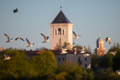 Jelgavas reģionālais tūrisma centrs