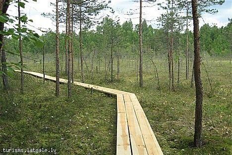 Andrupenes-purva-taka 