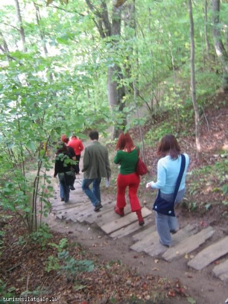 Meza-ainavu-parks-Pilskalnes-Siguldina 