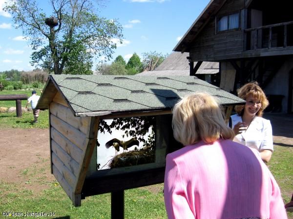 Starku-verosana-Untumi 