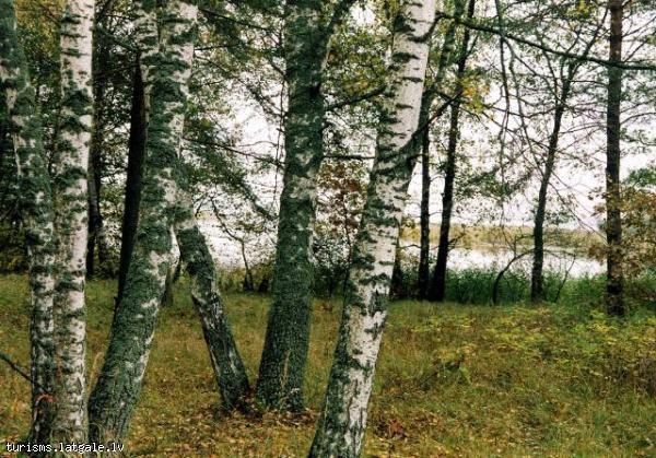 Upurakmens-Rusonu-ezera-Upursala 