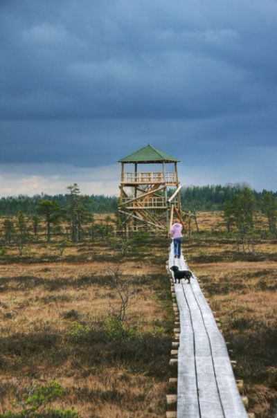 Vasenieku_purva_laipa_un_skatu_tornis 