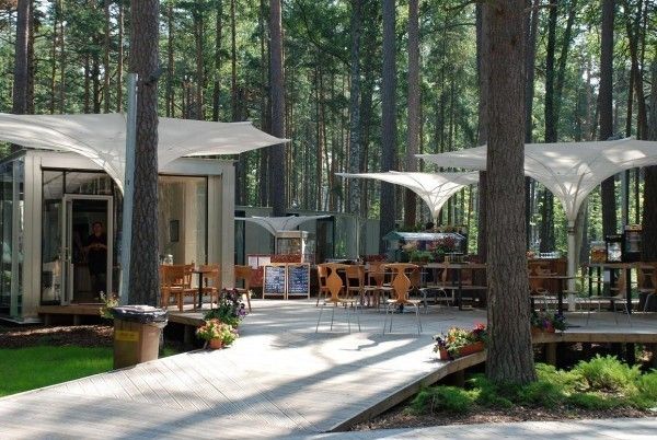 Dzintaru-mezaparks 